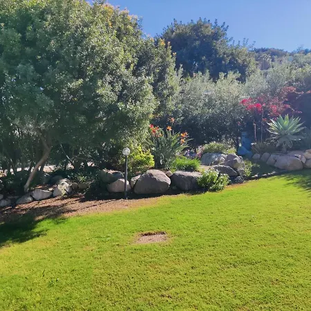 Luisa * 哥斯达雷